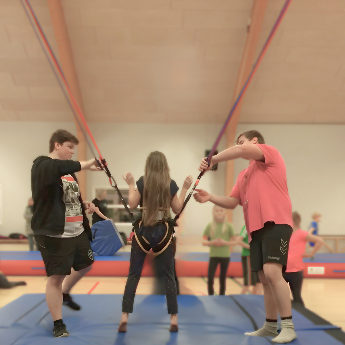 Flik Bungee system til spærmontage