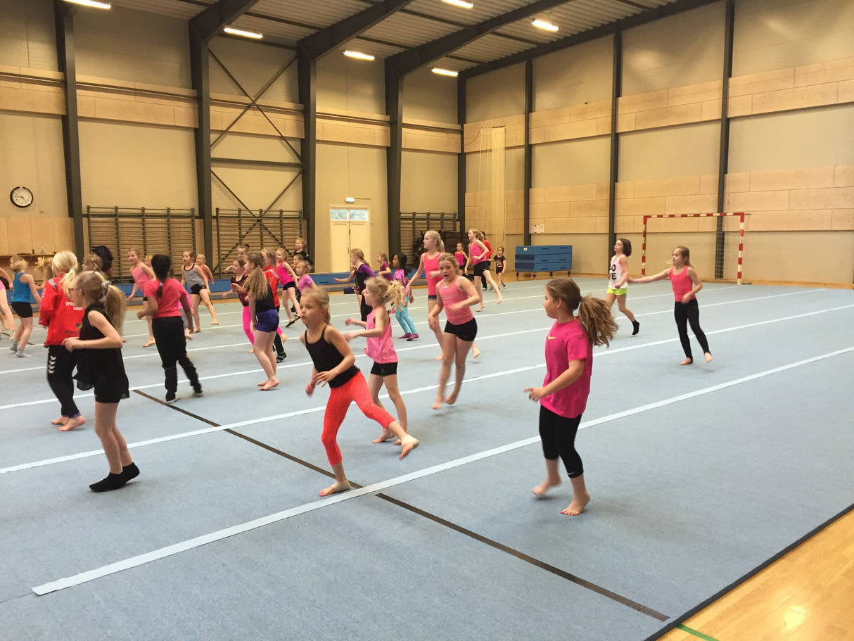 Pelany Rytmegulv til TeamGym (14x18 m)