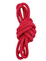 Rødt sjippetov fra Amaya til rytmisk gymnastik.
Super godt kvalitetsprodukt fra Amaya. Sjippetov til leg, træning og opvisning. Sjippetovet har en god tyngde, som giver god svingkraft til kast, spændende øvelser og koreografier.
Sjippetovet er 3 mete