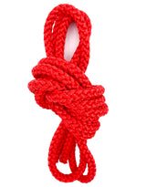 Sjippetov Pastorelli PATRASSO, Rød.
Ensfarvet sjippetov med god vægt og tyngde til rytmisk gymnastik, opvisning og konkurrence.
Dette produkt er F.I.G. godkendt og kan bruges til konkurrencer.
Nylontov på 315 cm.