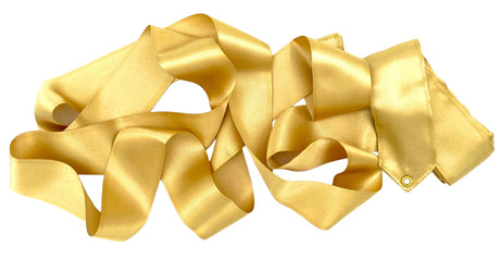 Amaya Vimpel til rytmisk gymnastik.

Amayas vimpel er det perfekte valg for rytmiske gymnaster, uanset om det er til træning eller opvisning.
Vimplerne er 6 meter lange og er lette nok til at bevæge sig elegant gennem luften, men har stadig tilstrækk