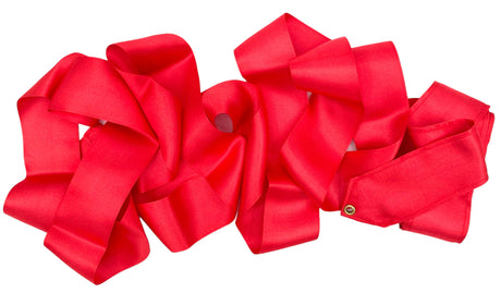 Amaya Vimpel til rytmisk gymnastik.

Amayas vimpel er det perfekte valg for rytmiske gymnaster, uanset om det er til træning eller opvisning.
Vimplerne er 6 meter lange og er lette nok til at bevæge sig elegant gennem luften, men har stadig tilstrækk