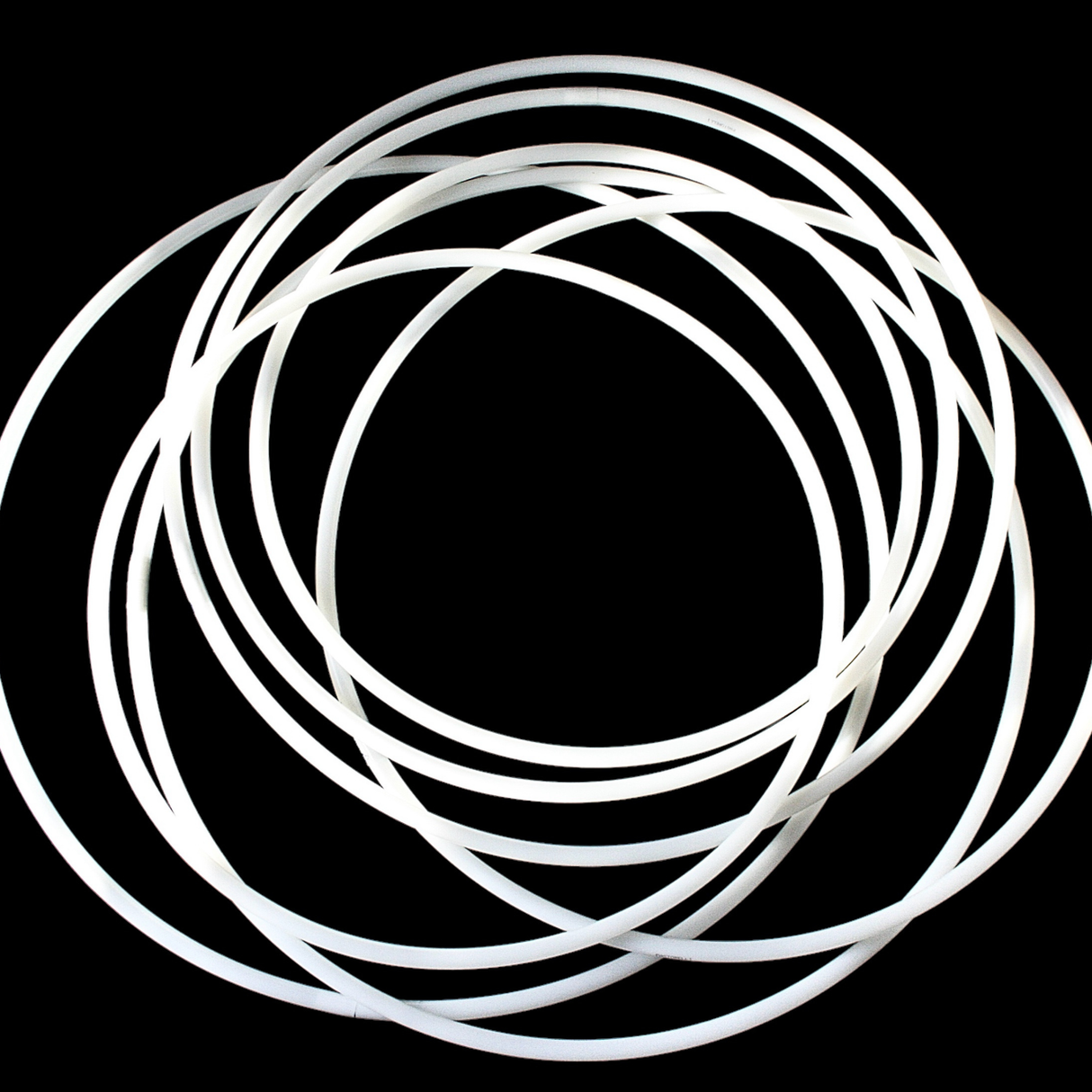 RODEO Pastorelli Tøndebånd, 60 cm